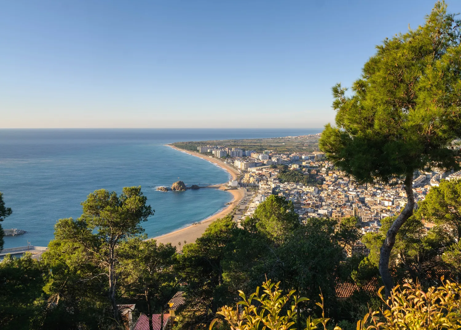 blanes-blanes-an7t5