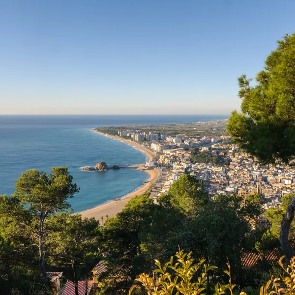 blanes-blanes-an7t5