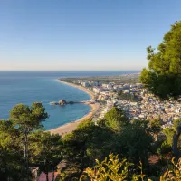 blanes-blanes-an7t5