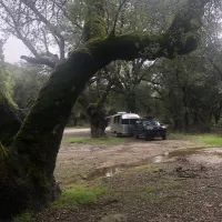 nacimiento-fergusson-road-big-sur-lcu0u