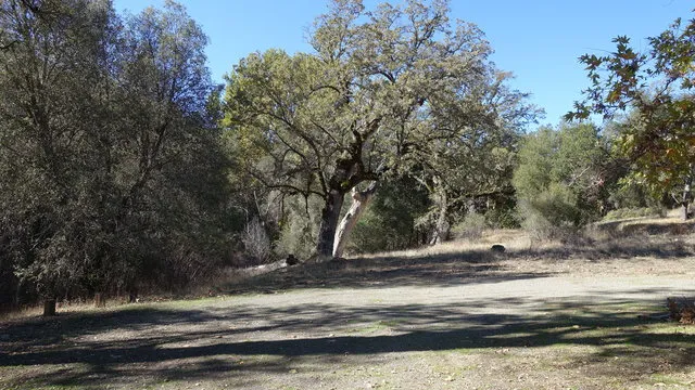 nacimiento-fergusson-road-big-sur-ulrhf