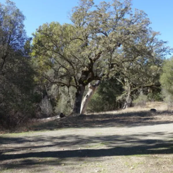 nacimiento-fergusson-road-big-sur-ulrhf