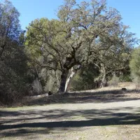Nacimiento-Fergusson Road