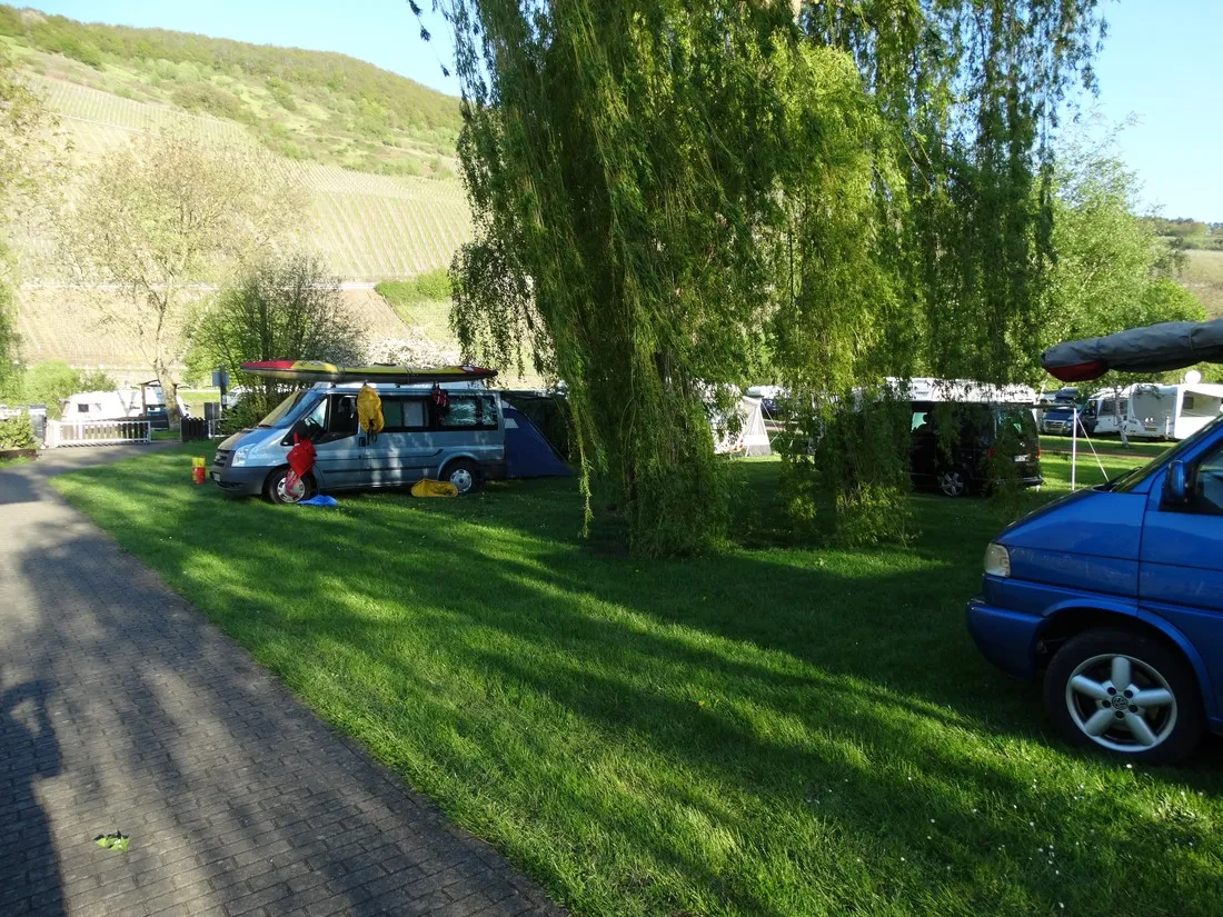 im-grunen-trittenheim-moezel-dy8ew