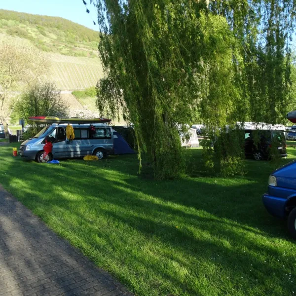 im-grunen-trittenheim-moezel-dy8ew