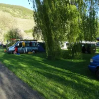 im-grunen-trittenheim-moezel-dy8ew