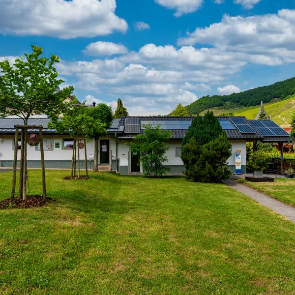 im-grunen-trittenheim-moezel-gxxh3
