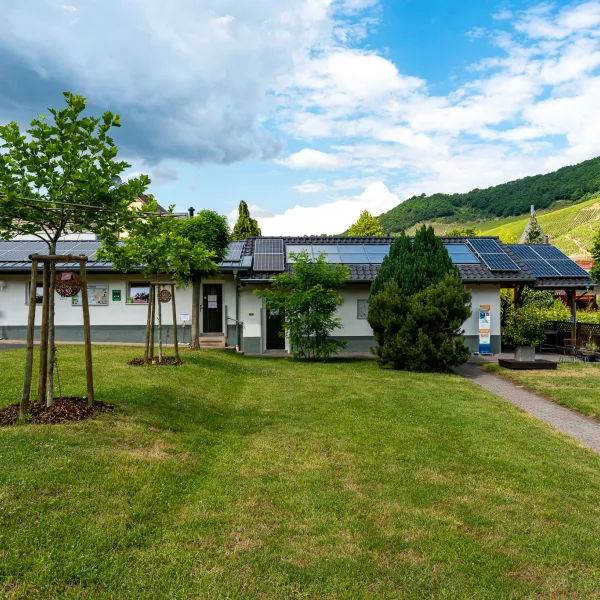 im-grunen-trittenheim-moezel-ixksf