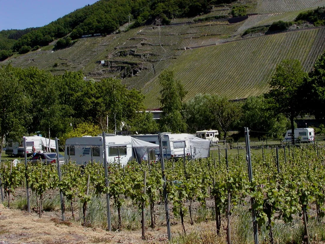 im-grunen-trittenheim-moezel-owqri