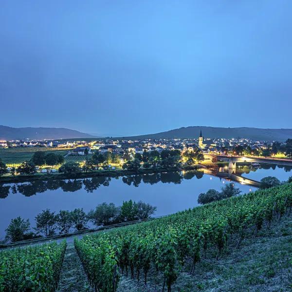 im-grunen-trittenheim-moezel-p9bs7