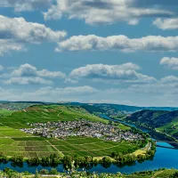 im-grunen-trittenheim-moezel-q2vqp