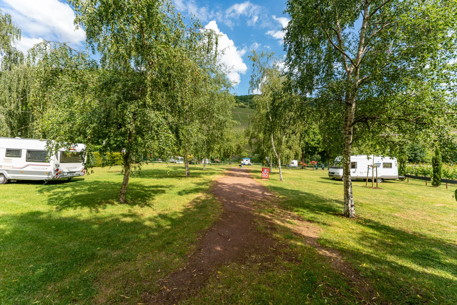im-grunen-trittenheim-moezel-z9ycf