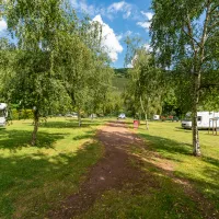 im-grunen-trittenheim-moezel-z9ycf