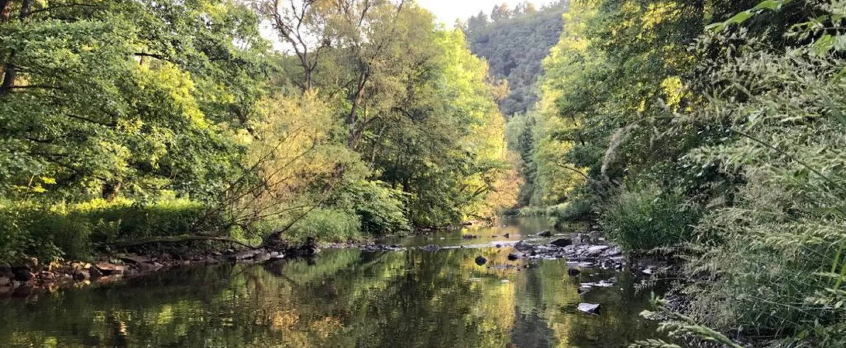 Du Moulin