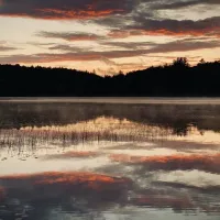 Brown Tract Pond Campground