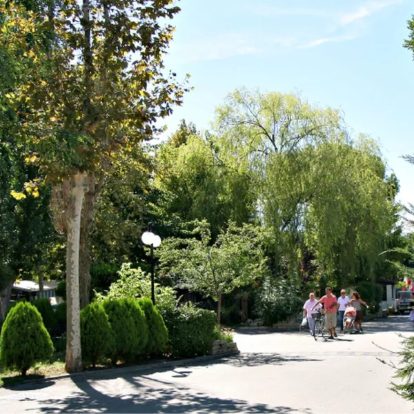 i-tre-moschettieri-lido-di-pomposa-adriatische-riviera-itm6p