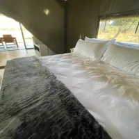 newburg-luxury-bush-tents-elandsfontein-farm-cyferfontein-road-uqoth