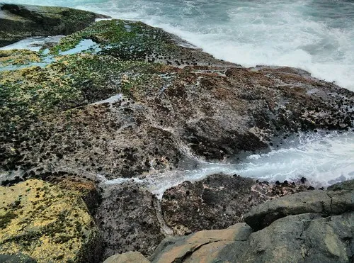 mystery-bay-campground-mystery-bay-cclro