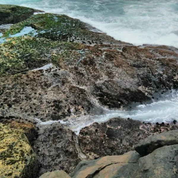mystery-bay-campground-mystery-bay-cclro