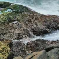 mystery-bay-campground-mystery-bay-cclro