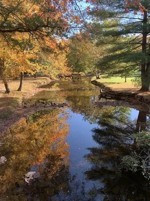 mountain-creek-campground-gardners-sadfi