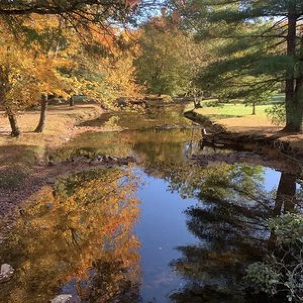 mountain-creek-campground-gardners-sadfi
