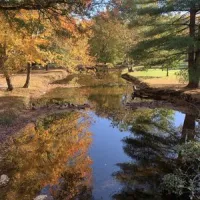 Mountain Creek Campground