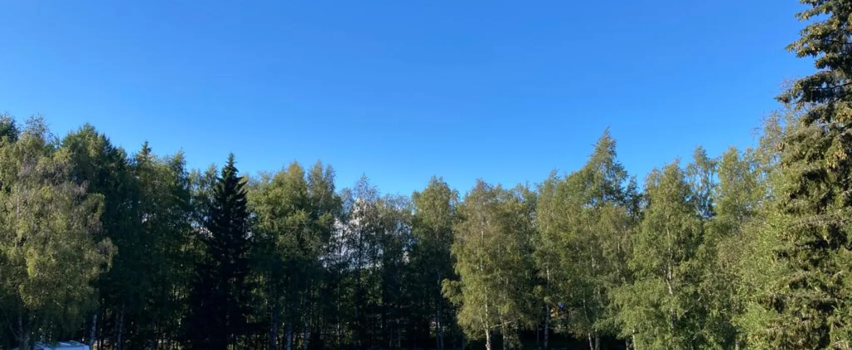 Hotelli Yöpuu
