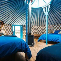 fir-hill-glamping-yurts-newquay-n0wak