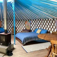 fir-hill-glamping-yurts-newquay-pfqdn