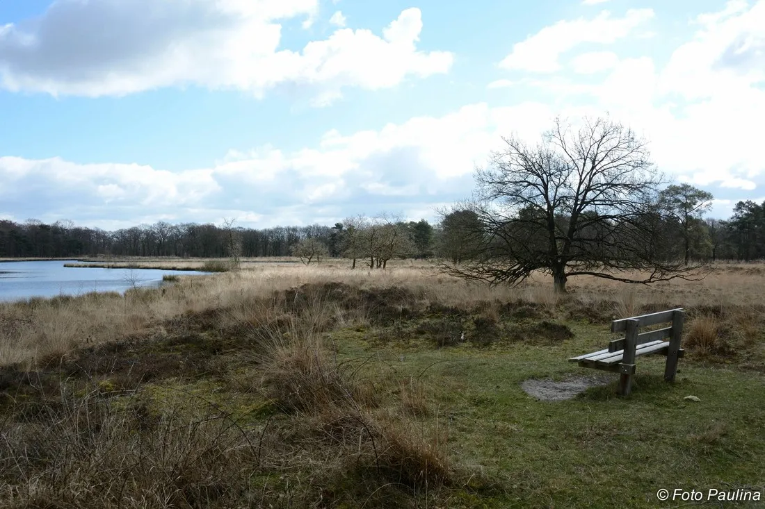 de-barkhoorn-sellingen-ekyae