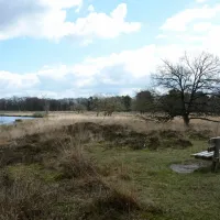 de-barkhoorn-sellingen-ekyae