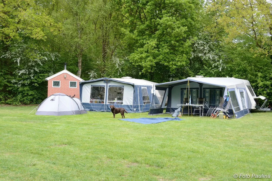 de-barkhoorn-sellingen-xwv00