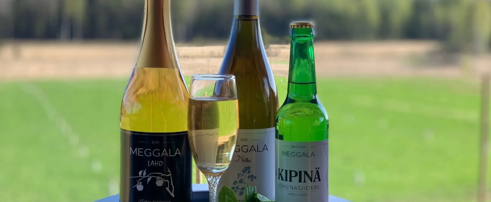 Viinitila Meggala