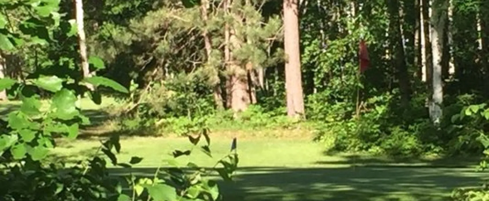 Wildwedge Golf and RV Park