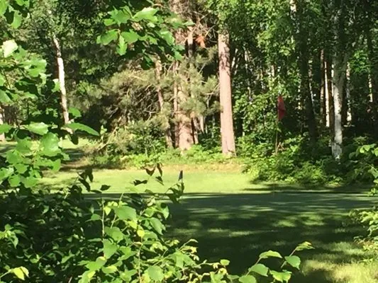 wildwedge-golf-and-rv-park-pequot-lakes-hj0ui