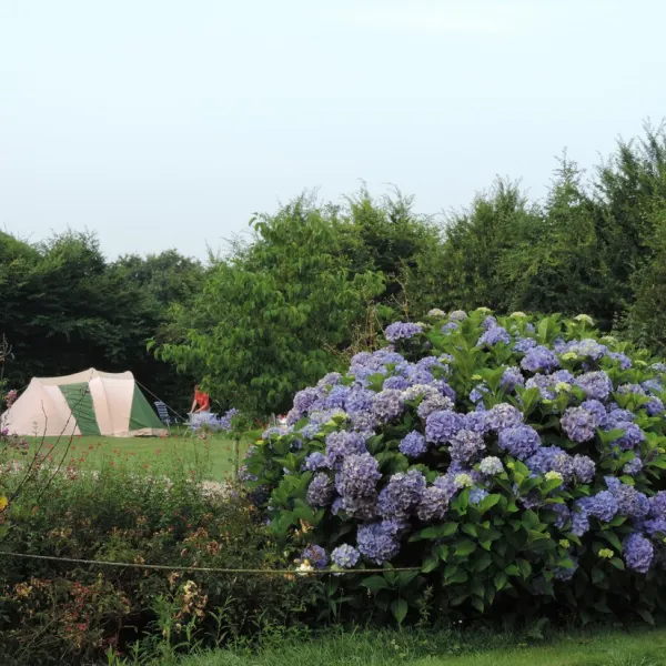 a-la-ferme-de-penguilly-quimper-ilxj0