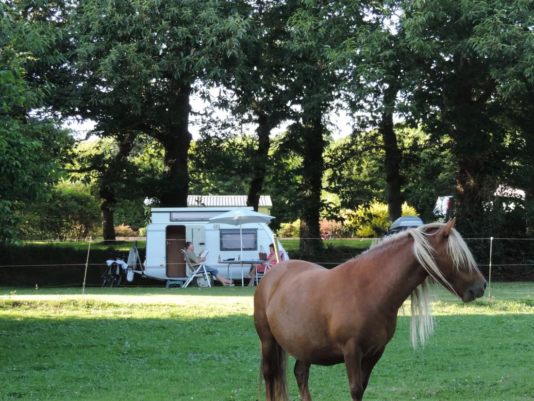 a-la-ferme-de-penguilly-quimper-shfqv