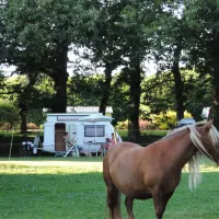 a-la-ferme-de-penguilly-quimper-shfqv