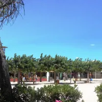 campeole-eurosurf-hyeres-pzhmb