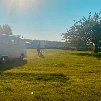painters-farm-campsite-faversham-3yu7r