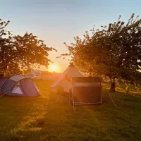 painters-farm-campsite-faversham-exe1e
