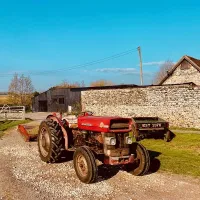 painters-farm-campsite-faversham-gnh6a