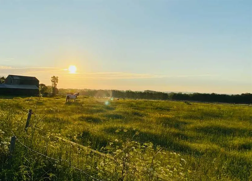 painters-farm-campsite-faversham-jwpra