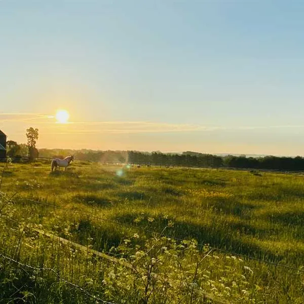 painters-farm-campsite-faversham-jwpra