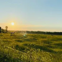 painters-farm-campsite-faversham-jwpra