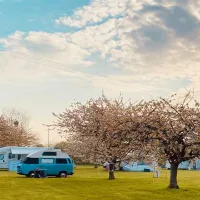 painters-farm-campsite-faversham-nglhz