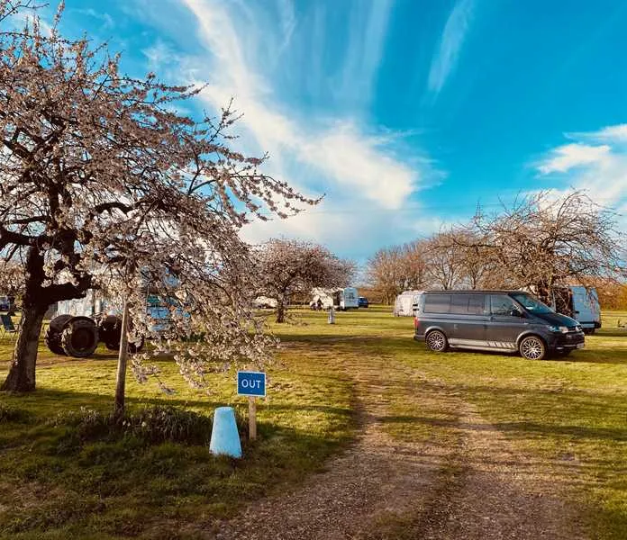 painters-farm-campsite-faversham-qtybi