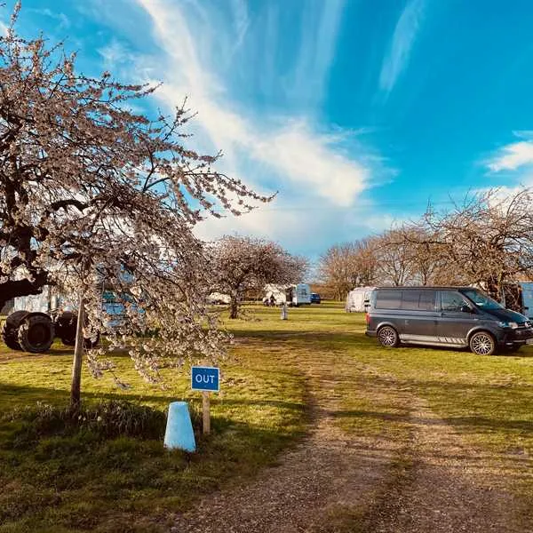 painters-farm-campsite-faversham-qtybi