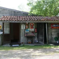 SVR De Hoef